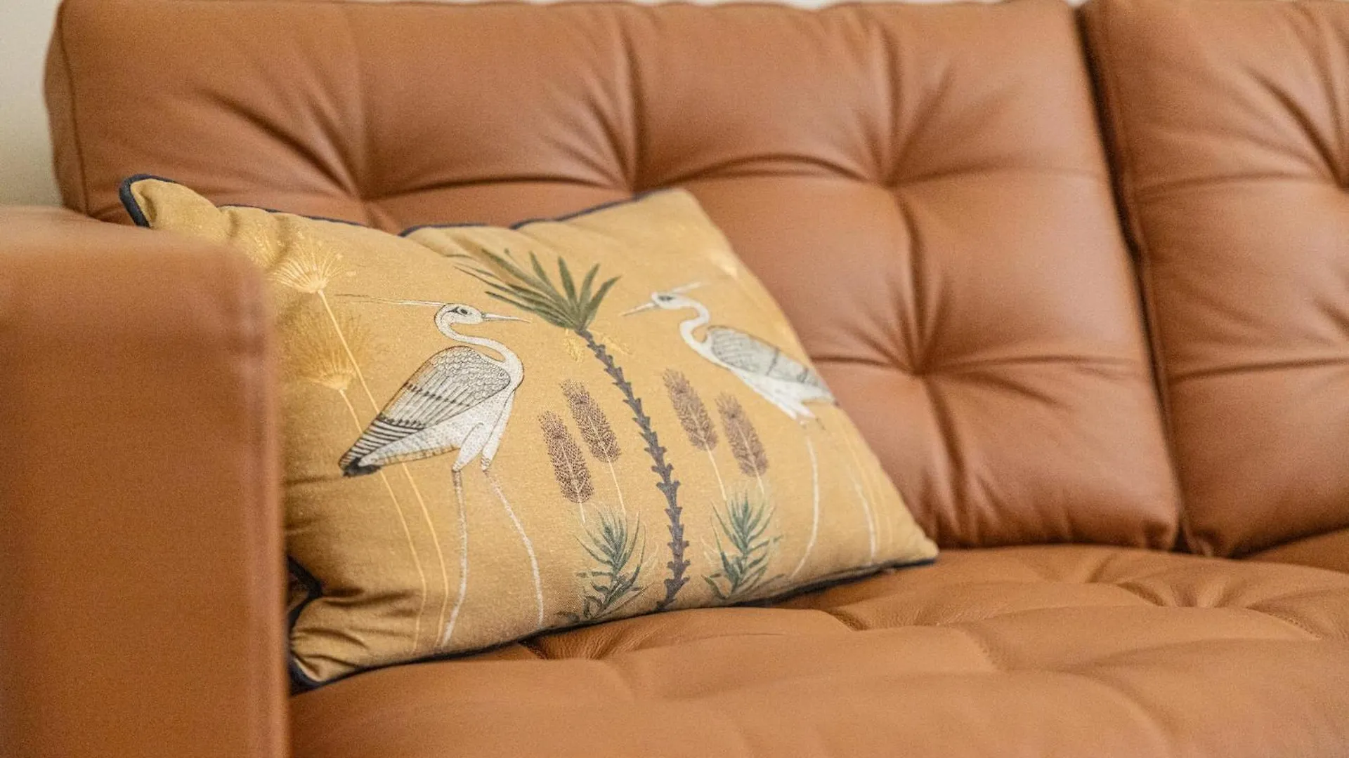 Apartman Shopping Et Detente Au Centre Ville De Nice !